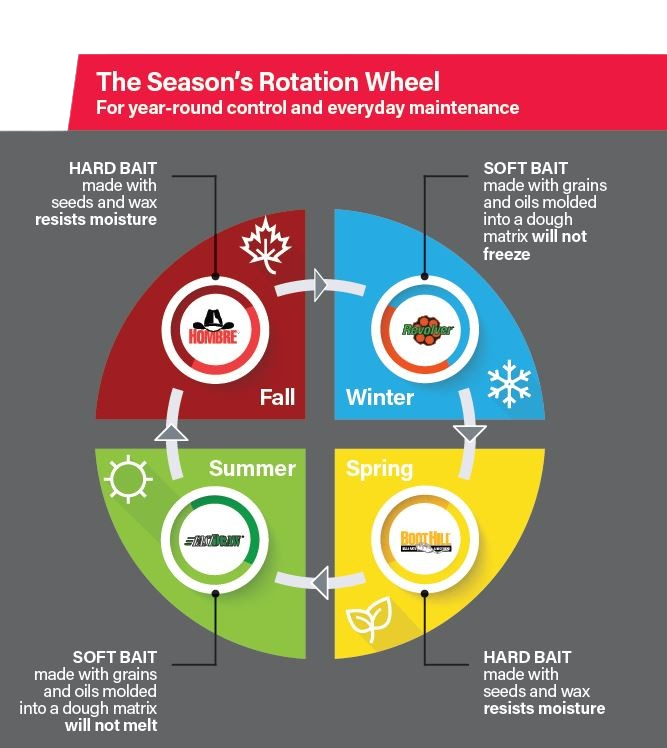 new_wheel_rotation-removebg